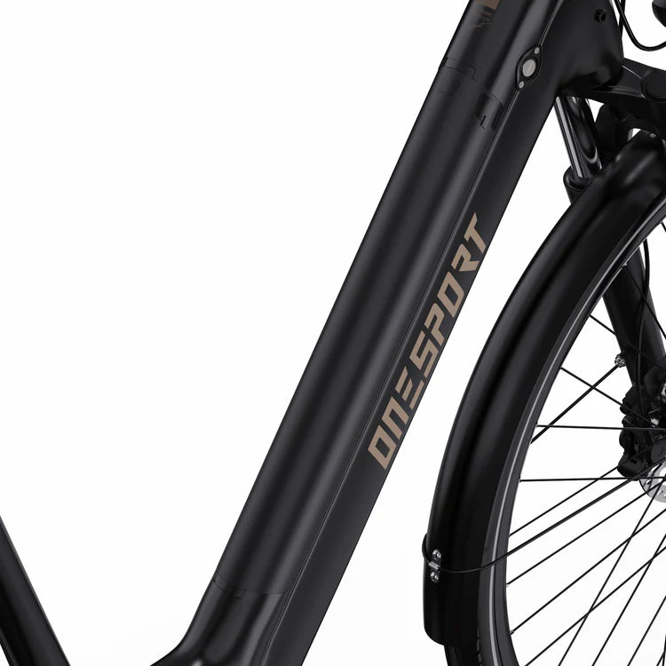 BAFANG Middenmotor | 90km