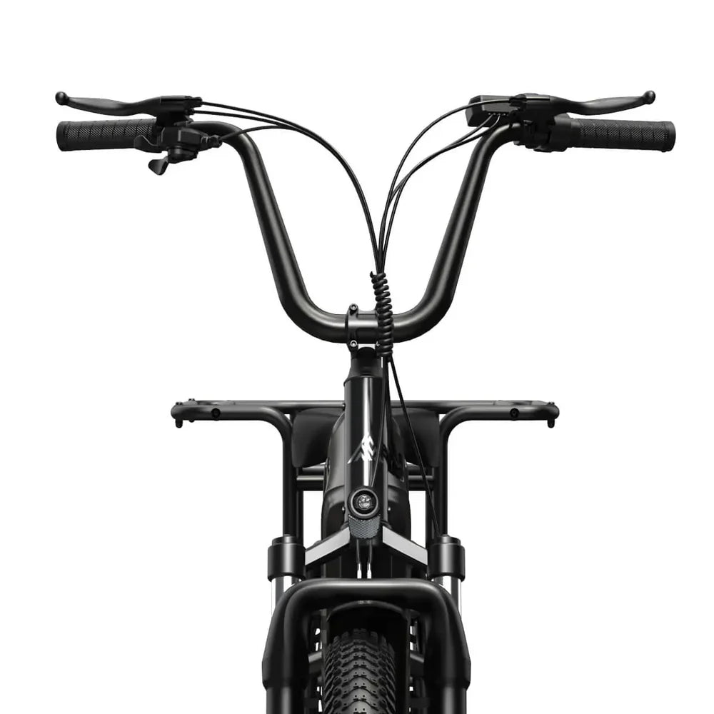 Longtail cargo e-bike met kinderzitje en voetsteunen